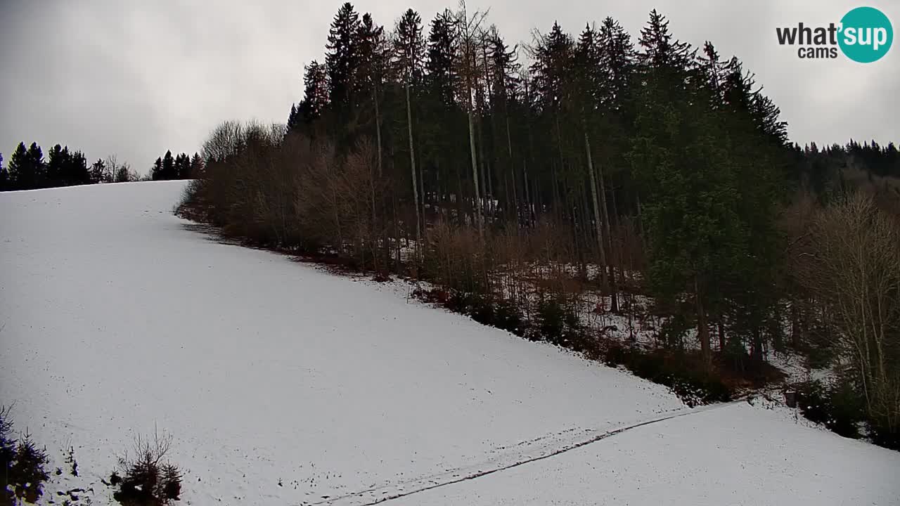 Webcam en direct de la station de ski de Stari Vrh – Slovénie