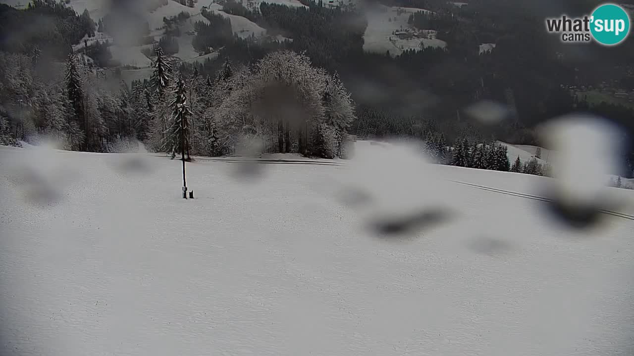 Webcam en direct de la station de ski de Stari Vrh – Slovénie