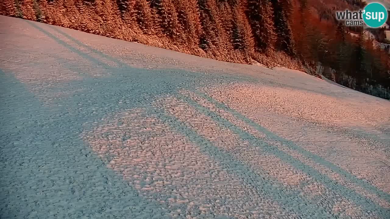 Stazione sciistica di Stari Vrh Webcam in diretta – Slovenia