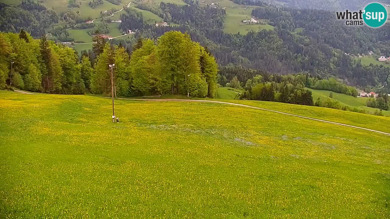 Skijalište Stari Vrh Web kamera uživo – Slovenija