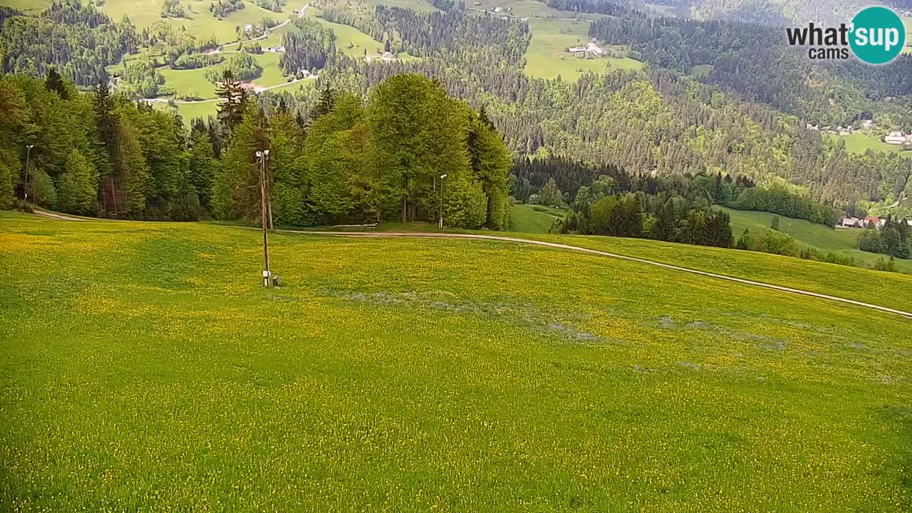 Skigebiet Stari Vrh Live Webcam – Slowenien
