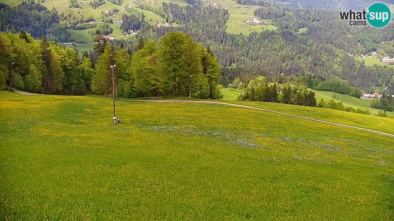 Webcam en direct de la station de ski de Stari Vrh – Slovénie