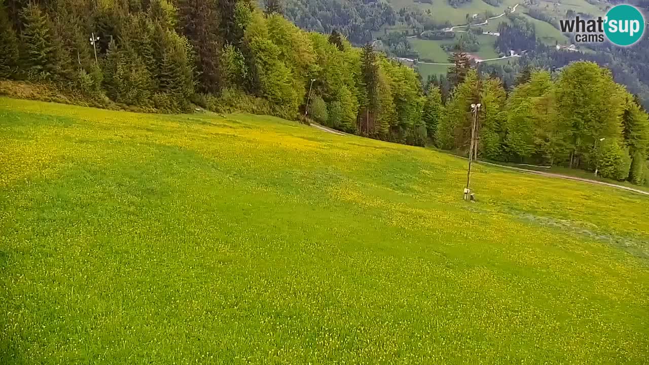 Stari Vrh Ski resort Live webcam – Slovenia