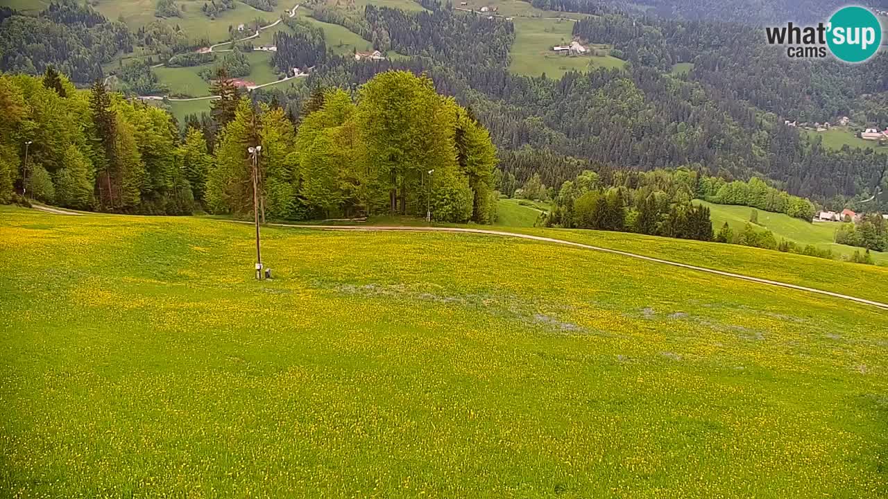 Skijalište Stari Vrh Web kamera uživo – Slovenija