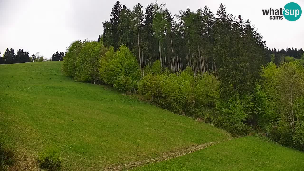 Estación de esquí Stari Vrh Cámara web en vivo – Eslovenia