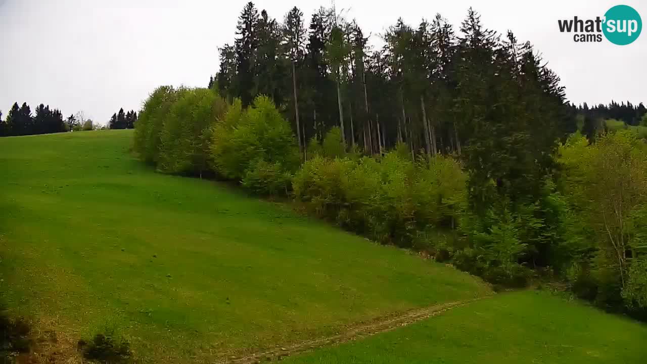 Webcam en direct de la station de ski de Stari Vrh – Slovénie
