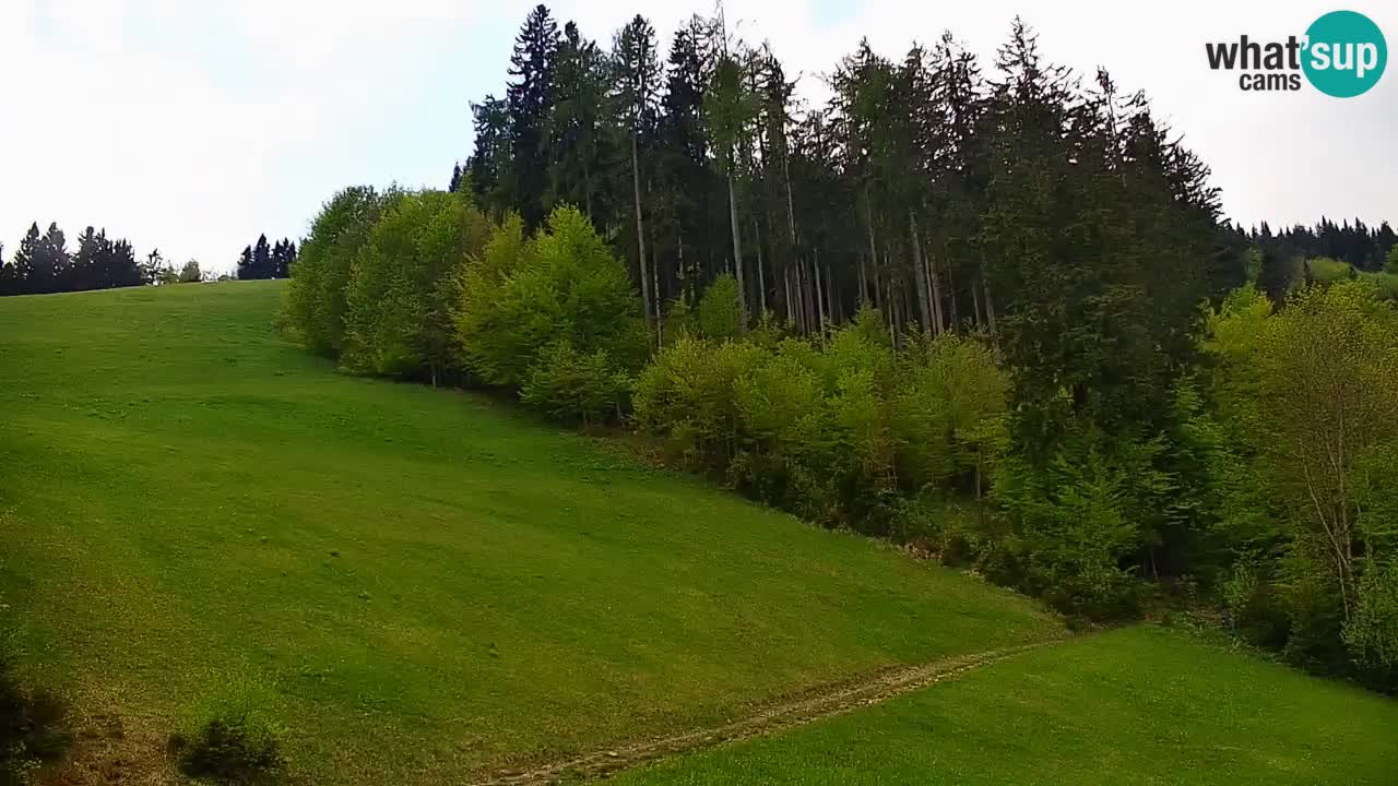 Stari Vrh Ski resort Live webcam – Slovenia