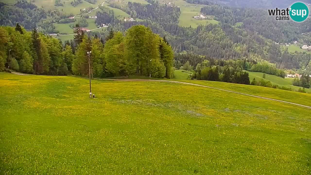 Stazione sciistica di Stari Vrh Webcam in diretta – Slovenia