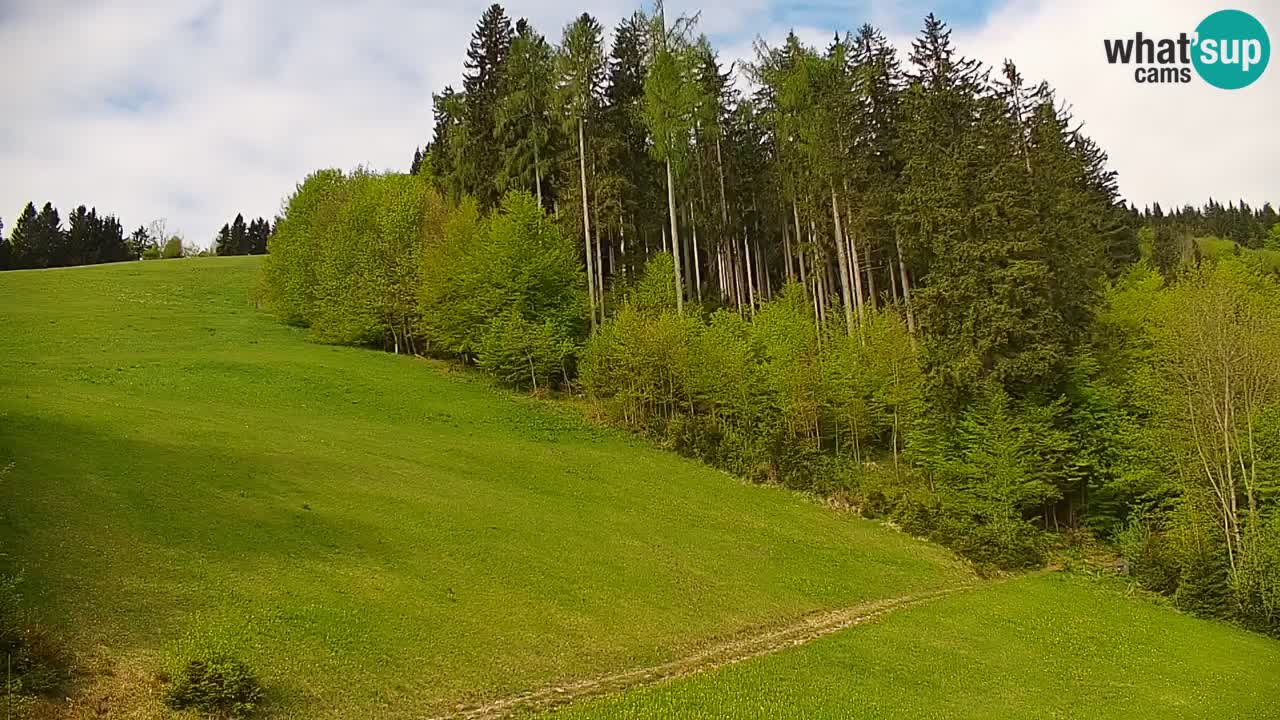 Stari Vrh Ski resort Live webcam – Slovenia