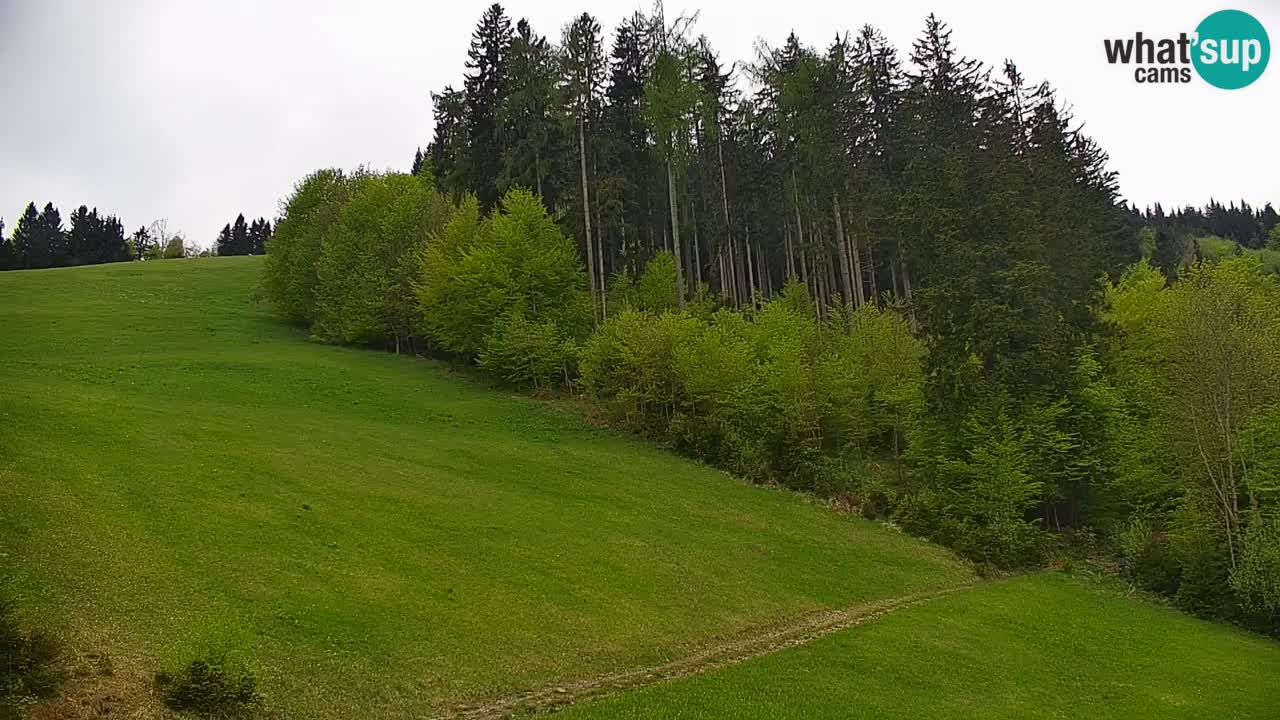 Stazione sciistica di Stari Vrh Webcam in diretta – Slovenia