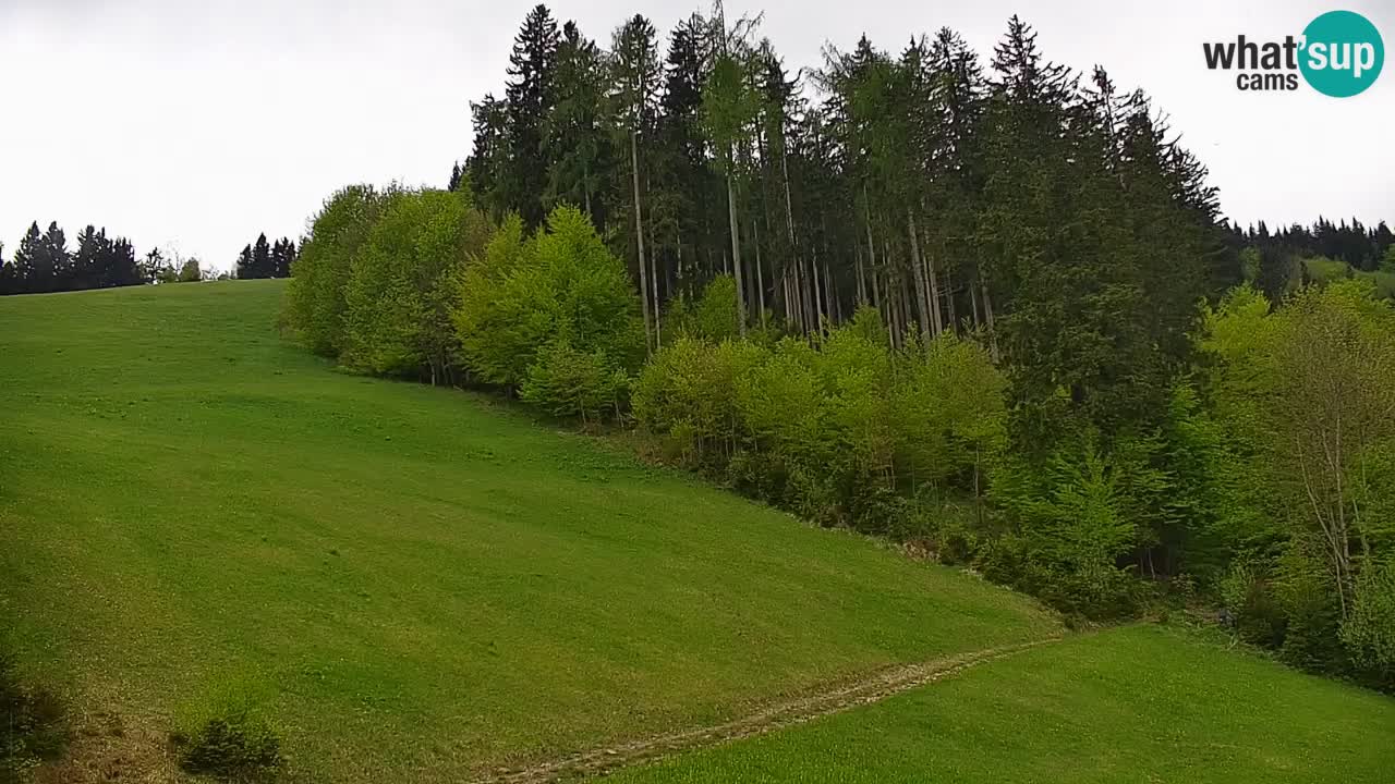 Webcam en direct de la station de ski de Stari Vrh – Slovénie