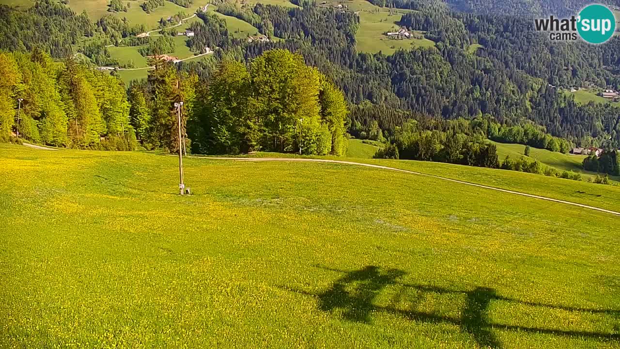 Skijalište Stari Vrh Web kamera uživo – Slovenija