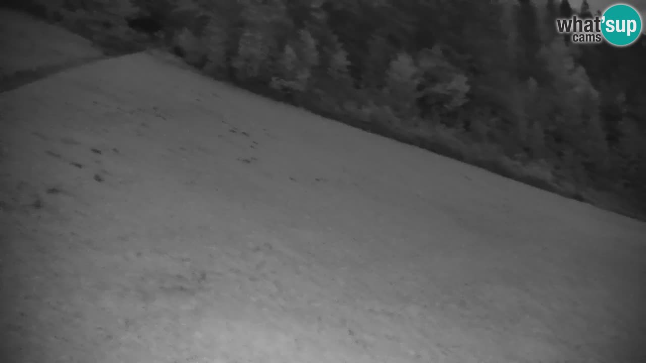 Stazione sciistica di Stari Vrh Webcam in diretta – Slovenia