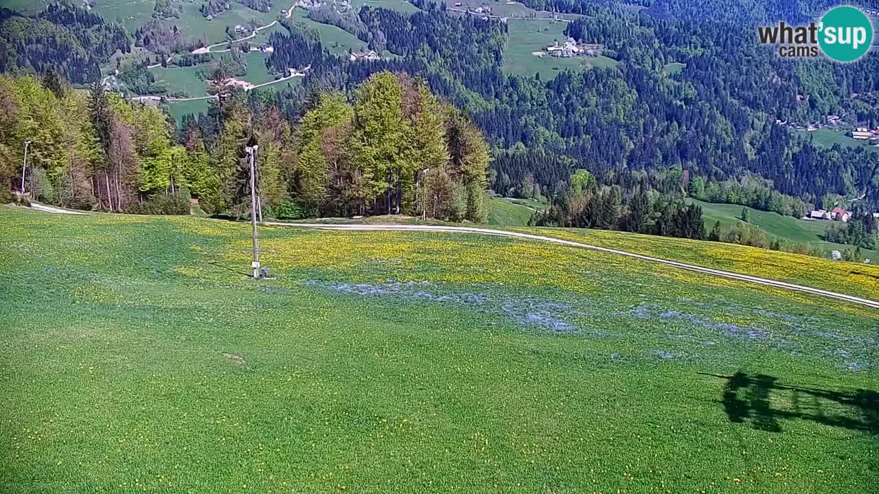 Stari Vrh Ski resort Live webcam – Slovenia