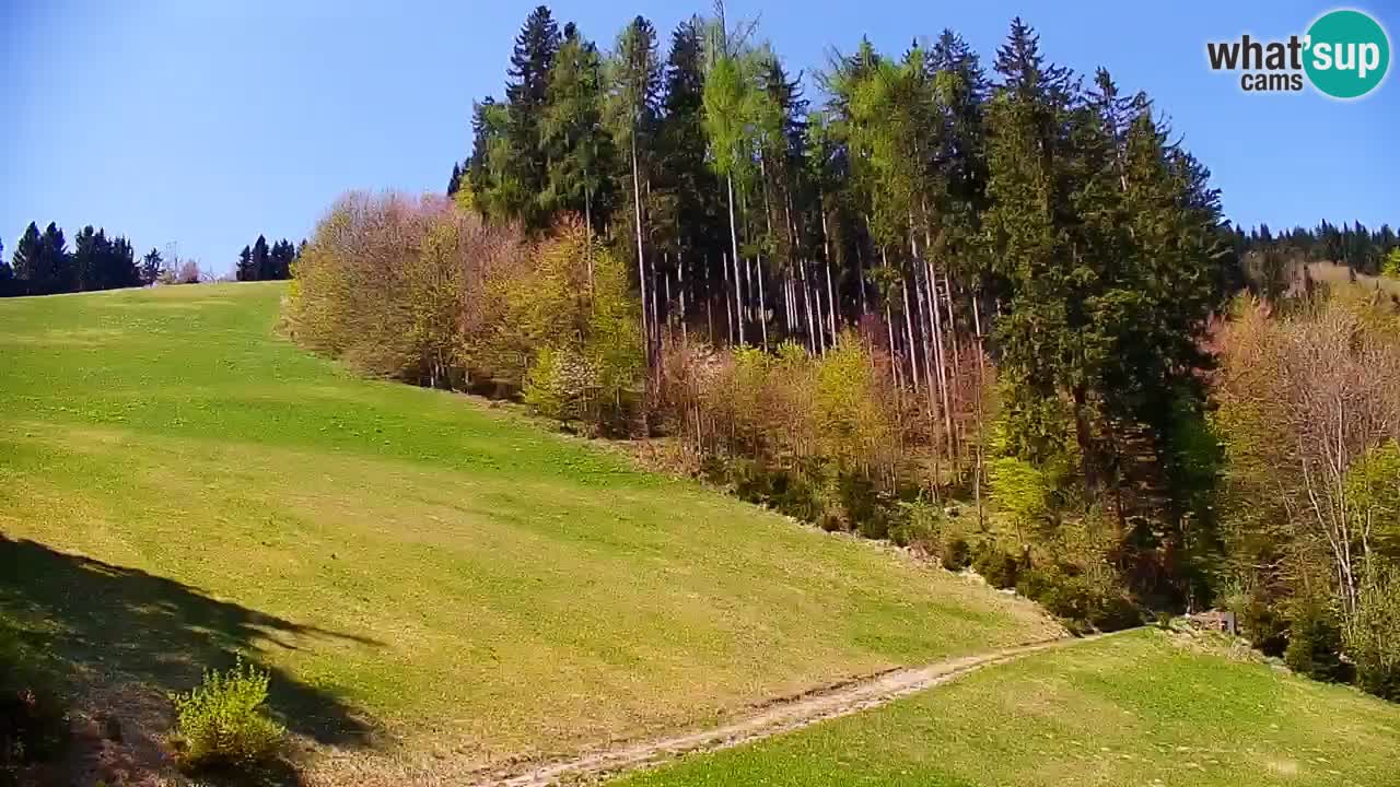 Skigebiet Stari Vrh Live Webcam – Slowenien