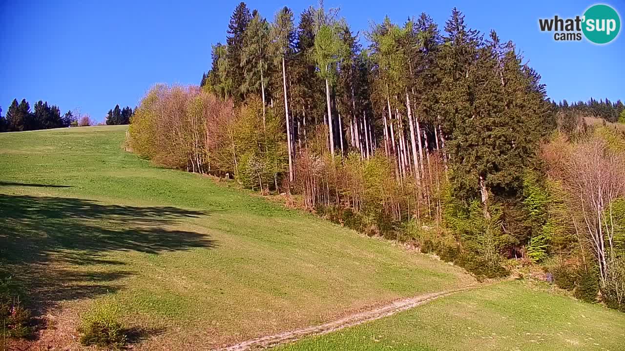 Skigebiet Stari Vrh Live Webcam – Slowenien