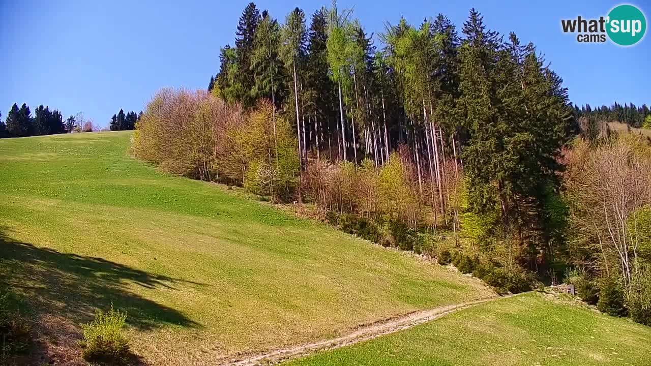 Webcam en direct de la station de ski de Stari Vrh – Slovénie