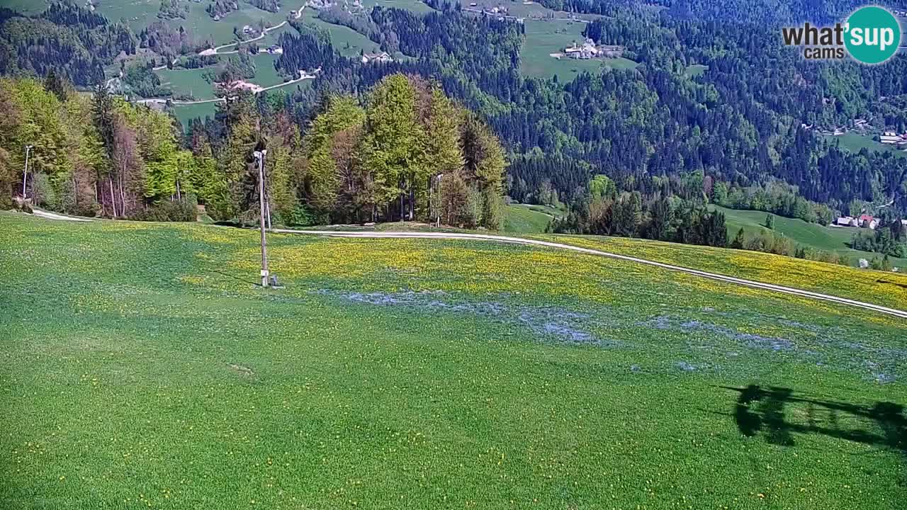Skijalište Stari Vrh Web kamera uživo – Slovenija