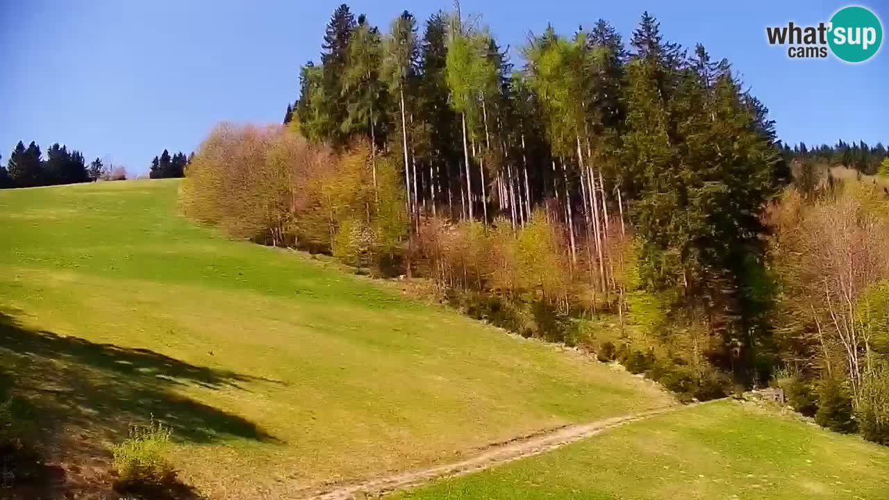 Skigebiet Stari Vrh Live Webcam – Slowenien