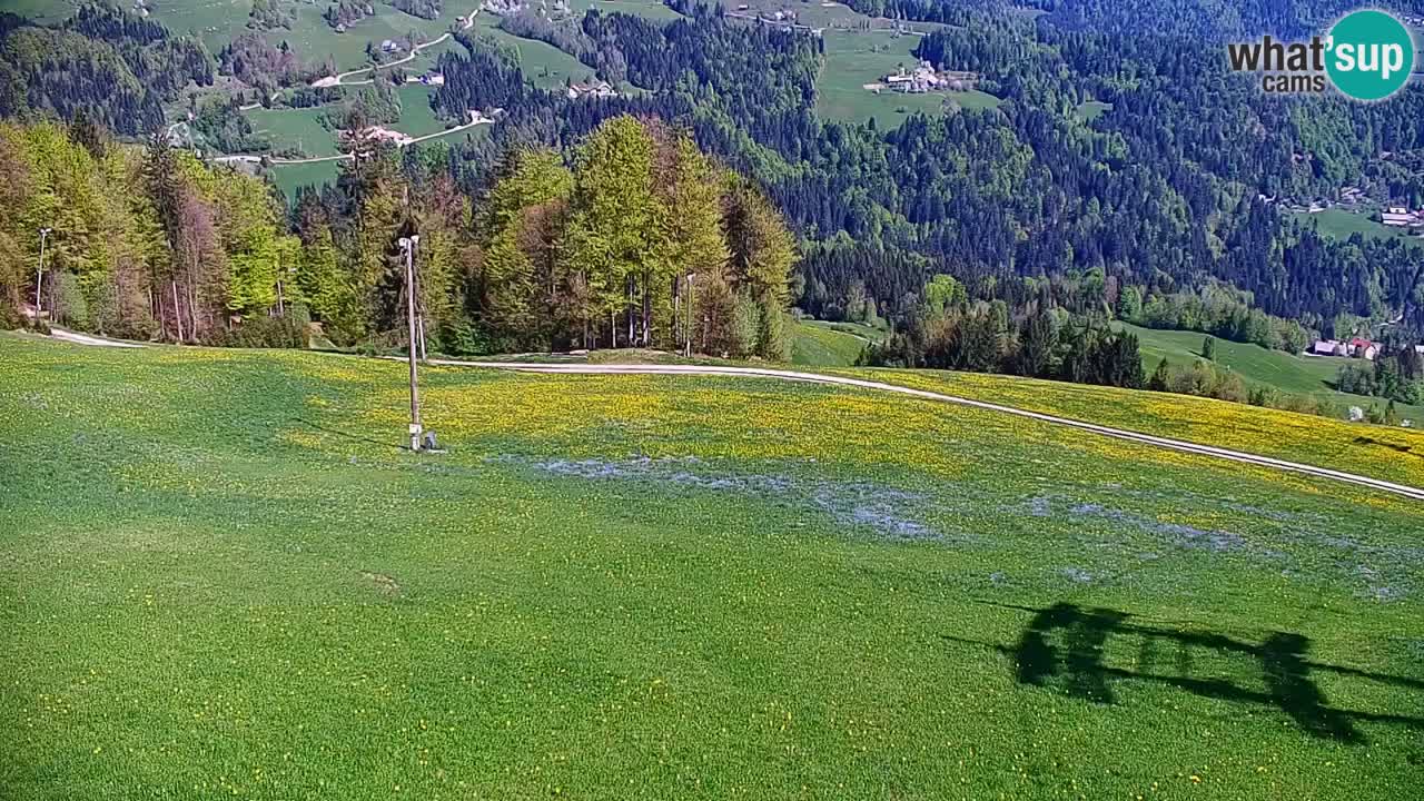 Skijalište Stari Vrh Web kamera uživo – Slovenija