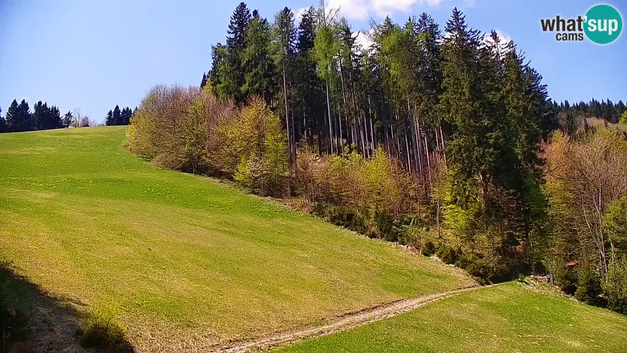 Stari Vrh Ski resort Live webcam – Slovenia