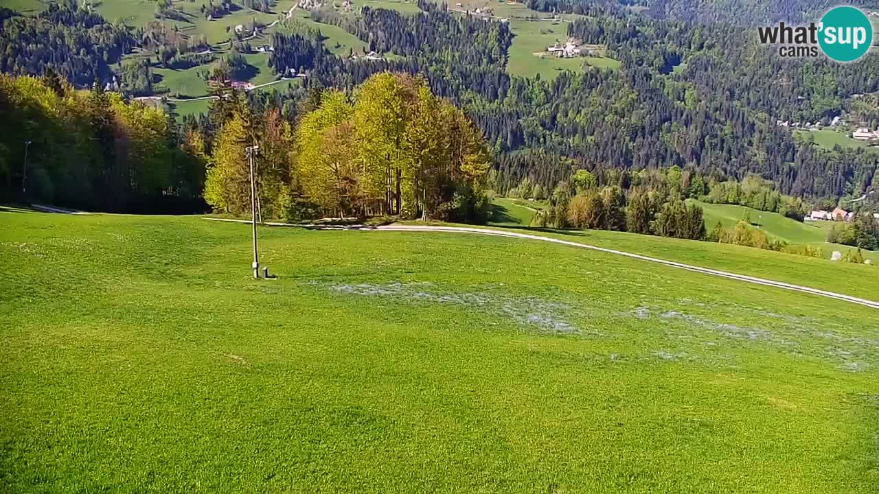 Stazione sciistica di Stari Vrh Webcam in diretta – Slovenia
