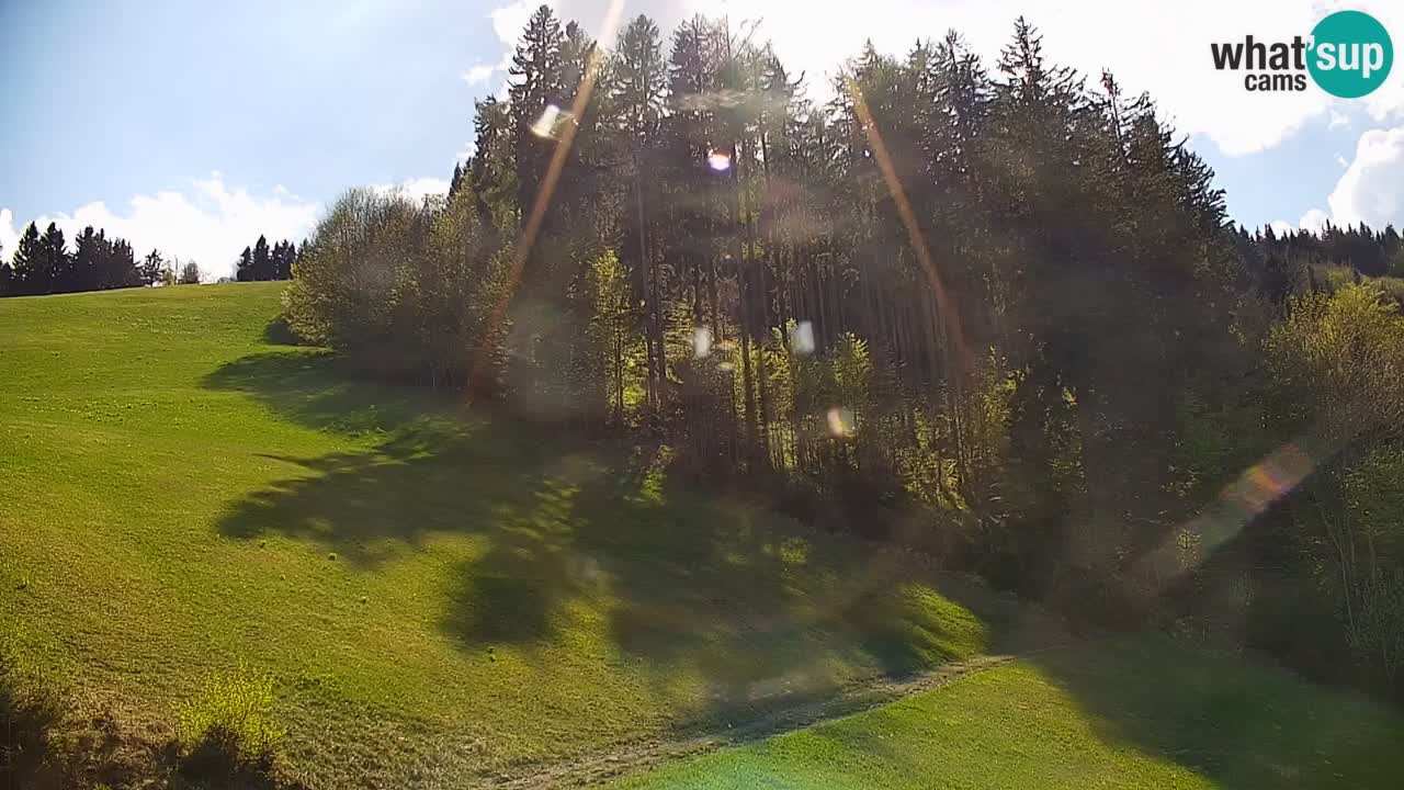 Webcam en direct de la station de ski de Stari Vrh – Slovénie