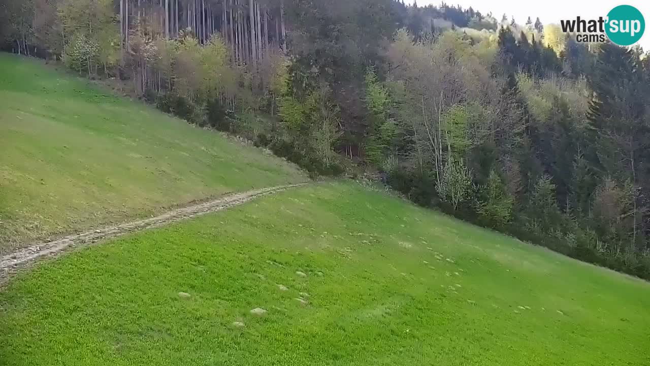 Stazione sciistica di Stari Vrh Webcam in diretta – Slovenia