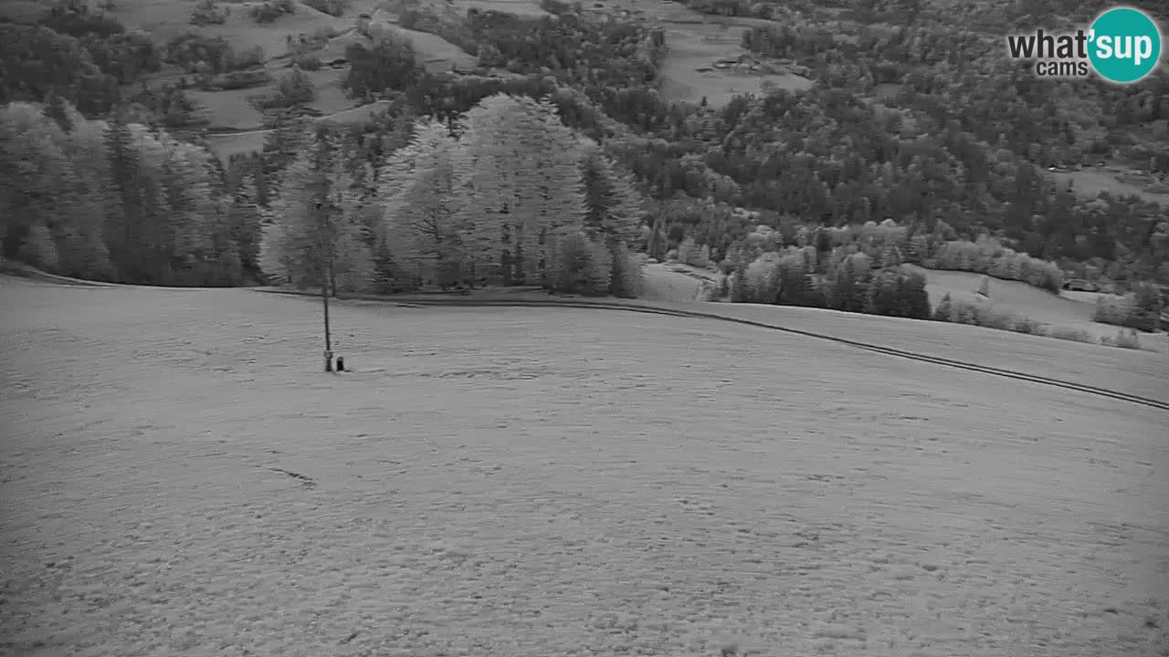 Stazione sciistica di Stari Vrh Webcam in diretta – Slovenia