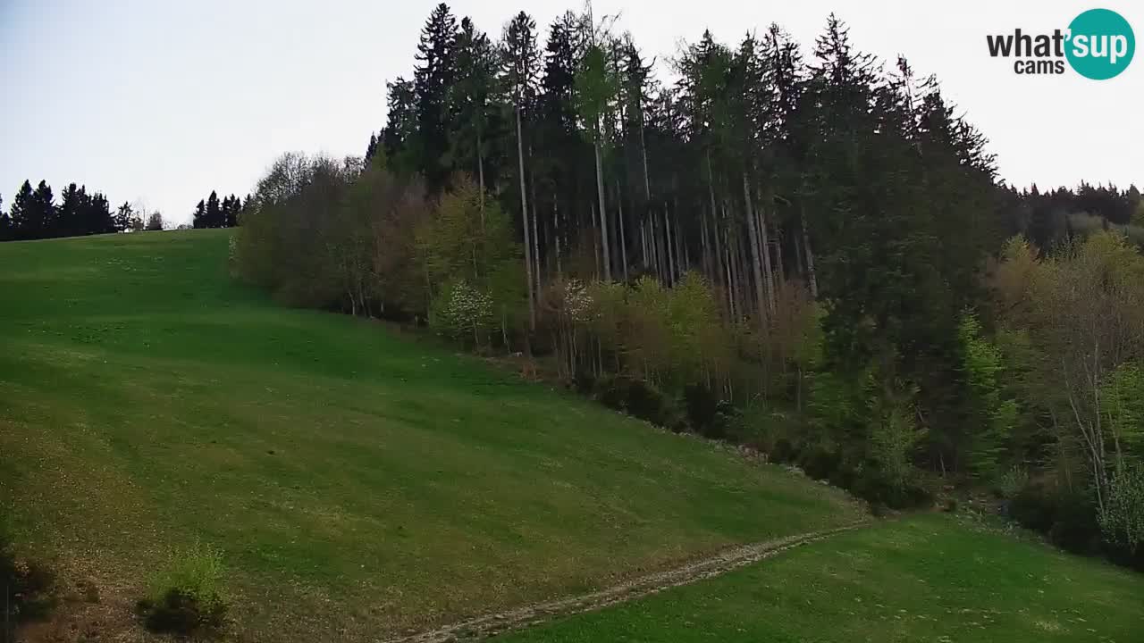 Skigebiet Stari Vrh Live Webcam – Slowenien
