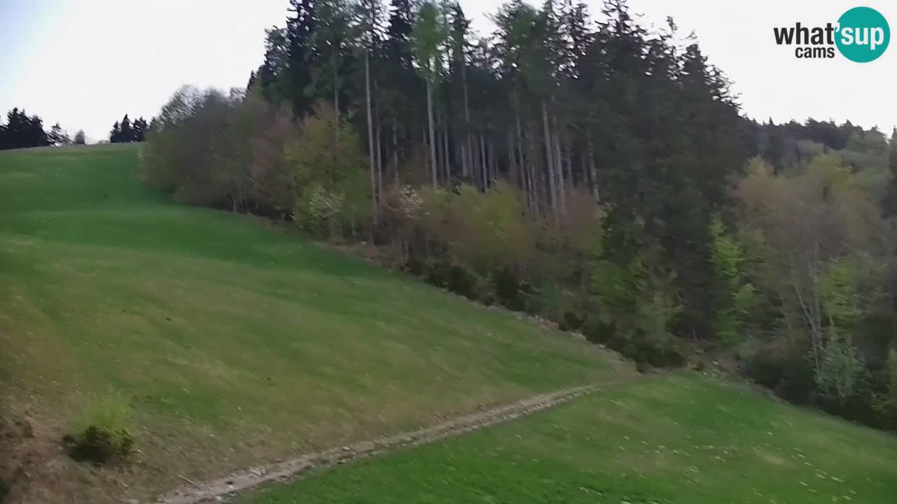 Estación de esquí Stari Vrh Cámara web en vivo – Eslovenia