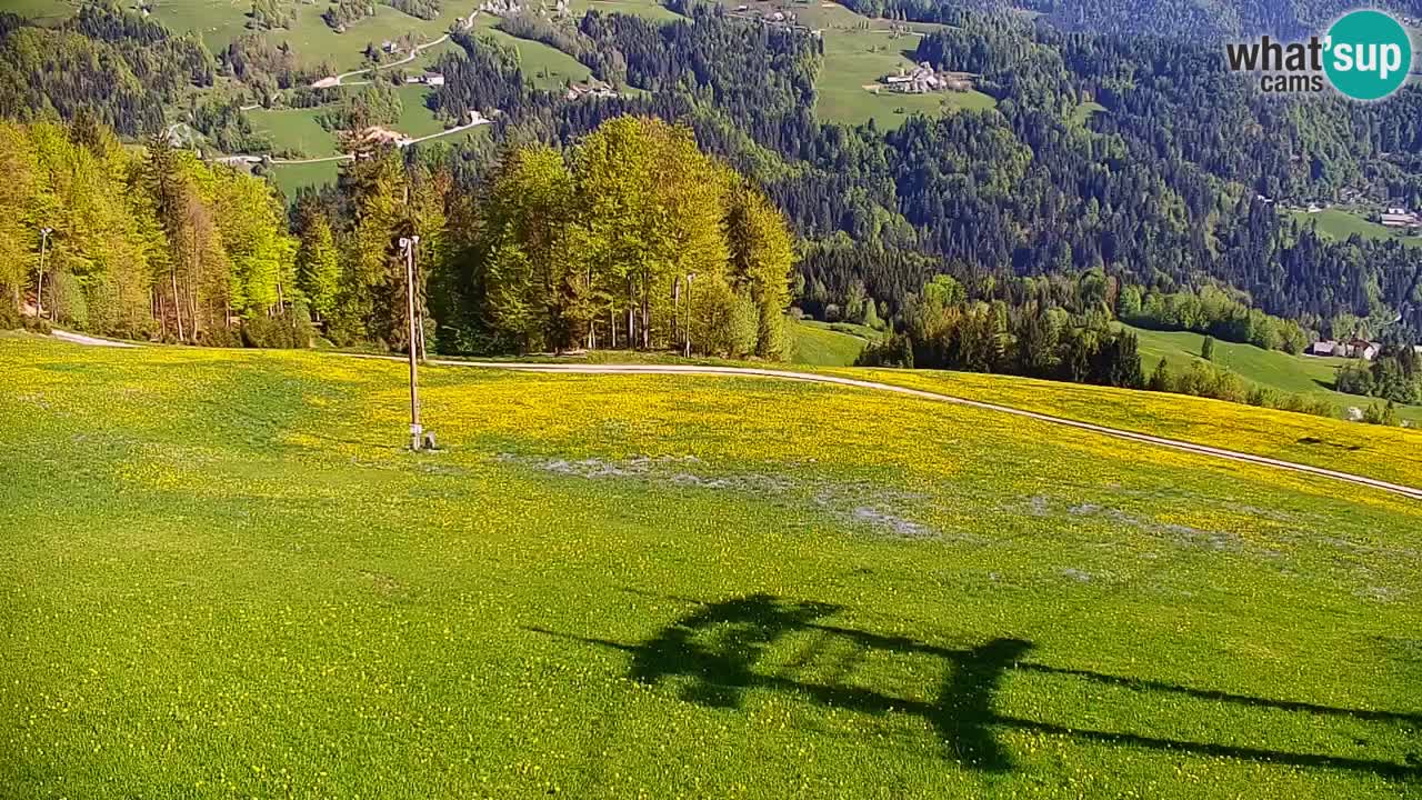 Webcam en direct de la station de ski de Stari Vrh – Slovénie