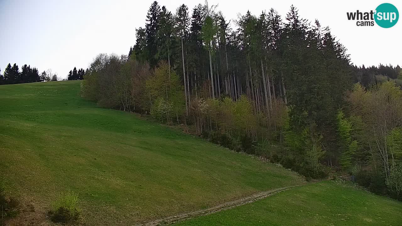 Skijalište Stari Vrh Web kamera uživo – Slovenija