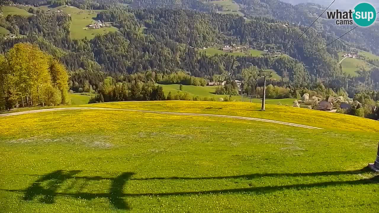 Skijalište Stari Vrh Web kamera uživo – Slovenija