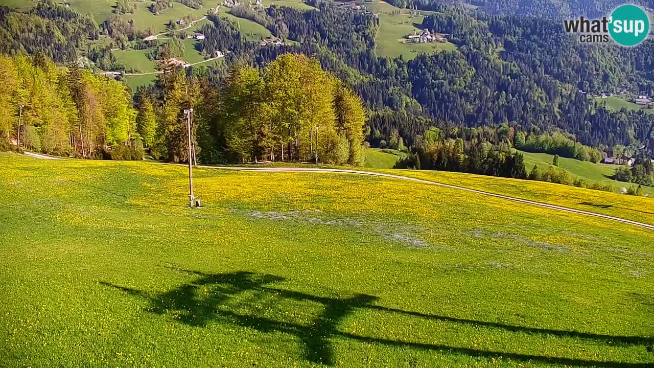 Estación de esquí Stari Vrh Cámara web en vivo – Eslovenia