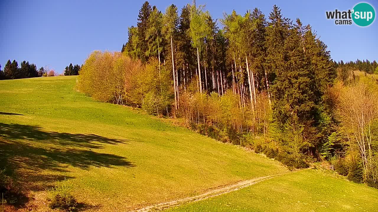 Estación de esquí Stari Vrh Cámara web en vivo – Eslovenia