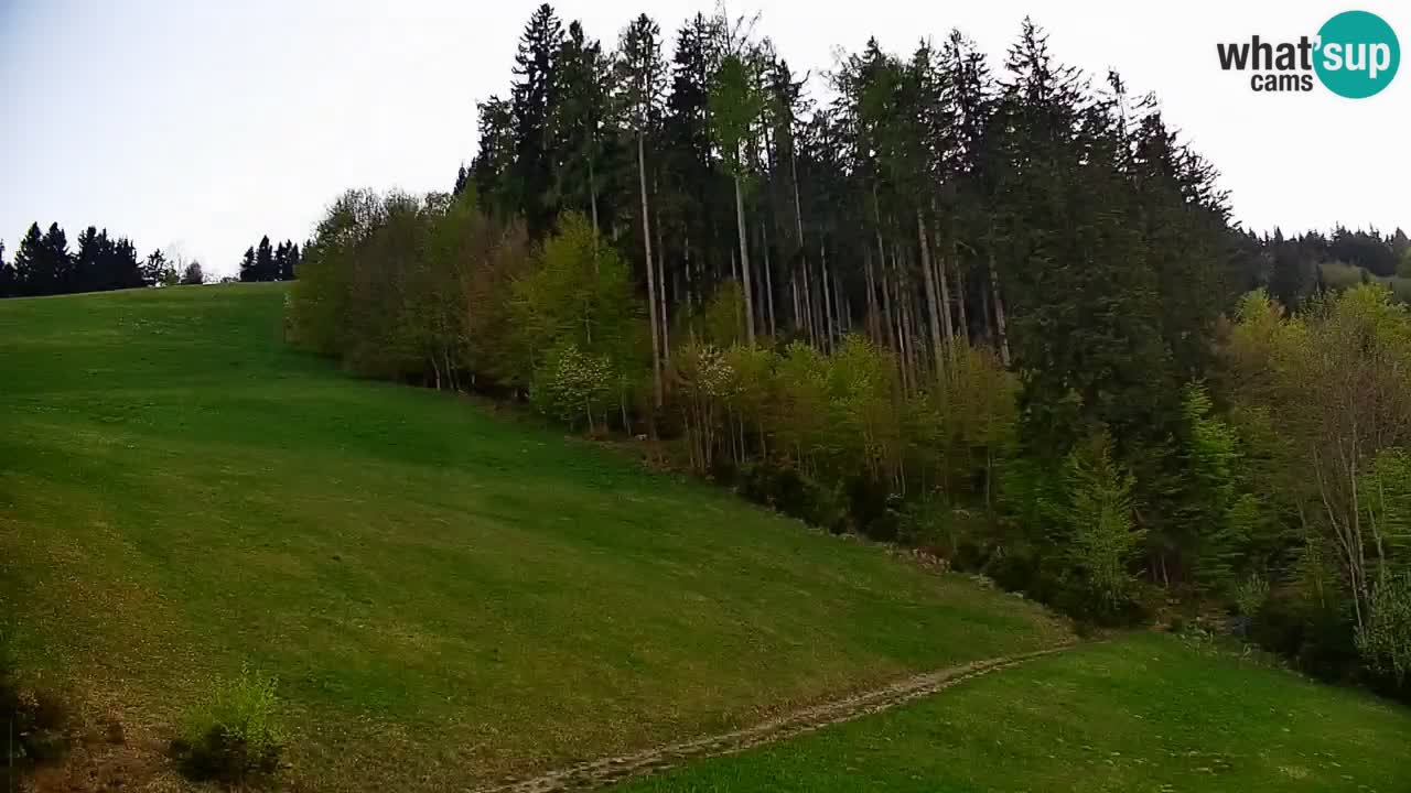 Stari Vrh Ski resort Live webcam – Slovenia