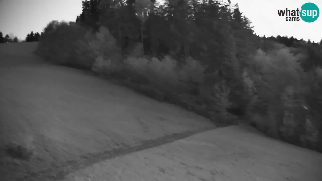 Skijalište Stari Vrh Web kamera uživo – Slovenija