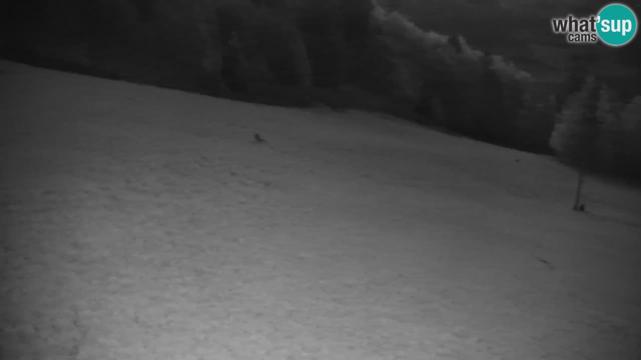 Stazione sciistica di Stari Vrh Webcam in diretta – Slovenia