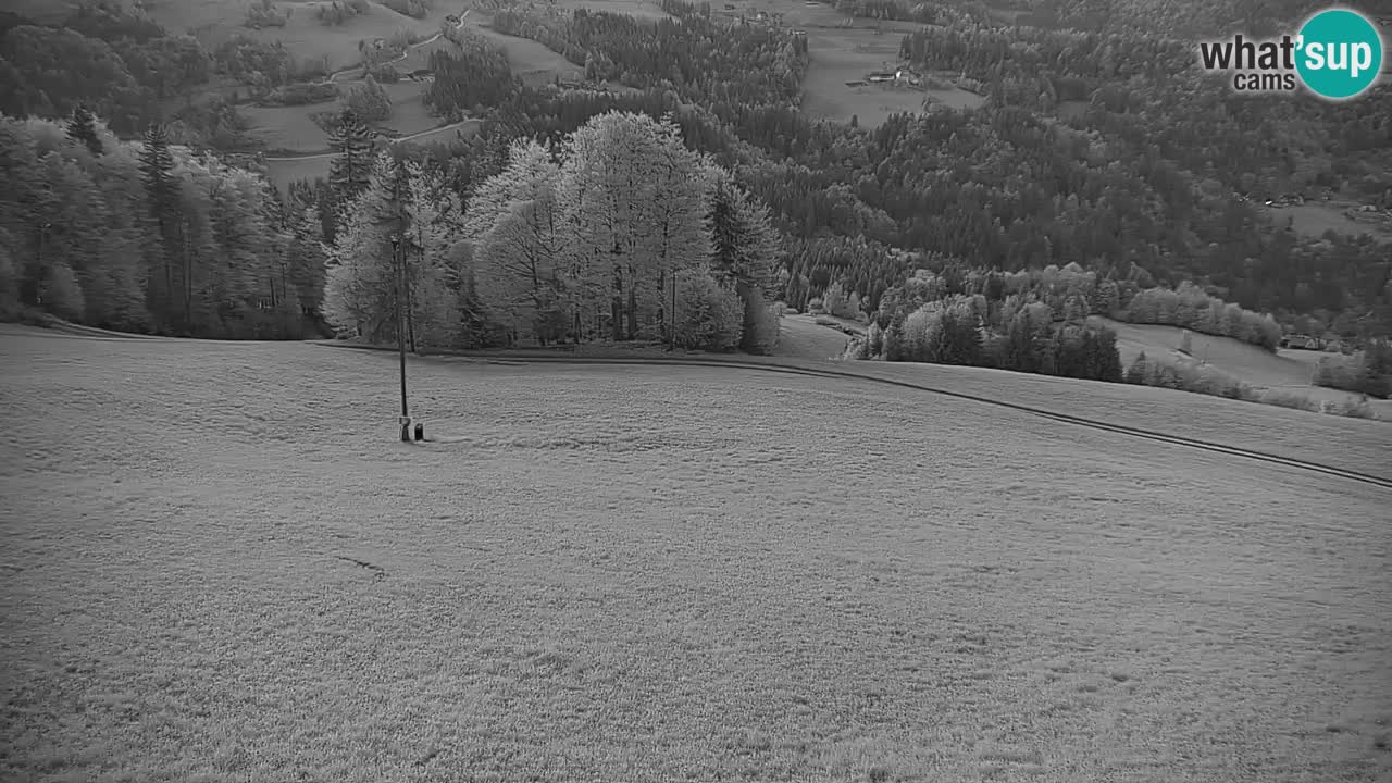 Skigebiet Stari Vrh Live Webcam – Slowenien
