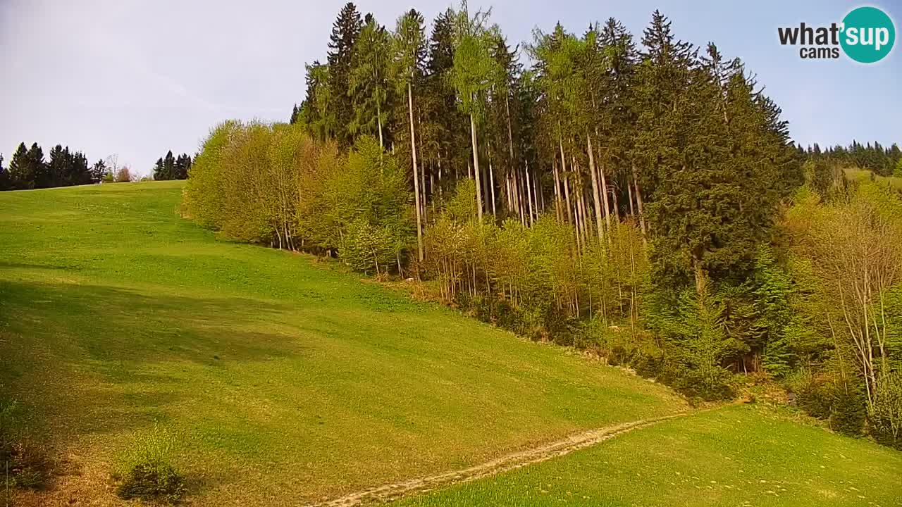 Stari Vrh Ski resort Live webcam – Slovenia