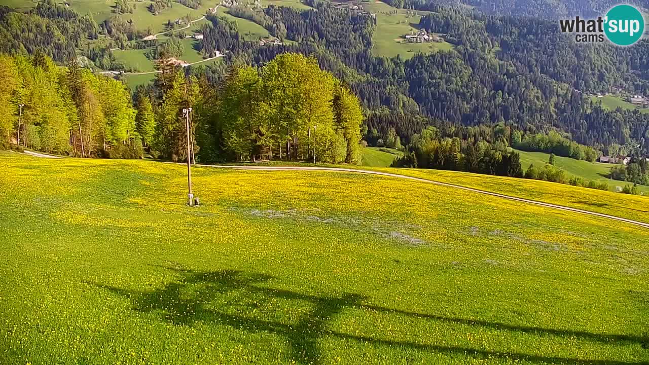 Stari Vrh Ski resort Live webcam – Slovenia