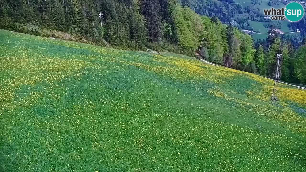 Stari Vrh Ski resort Live webcam – Slovenia