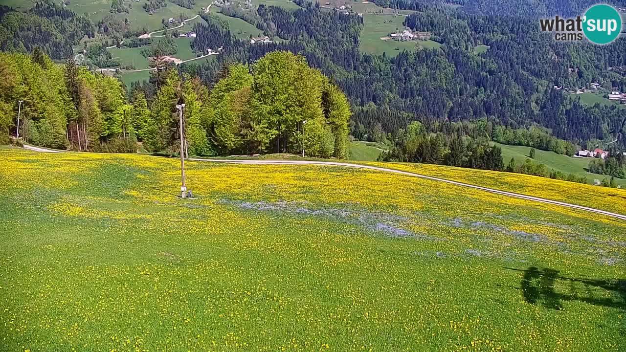 Skijalište Stari Vrh Web kamera uživo – Slovenija