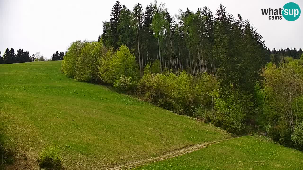 Skigebiet Stari Vrh Live Webcam – Slowenien