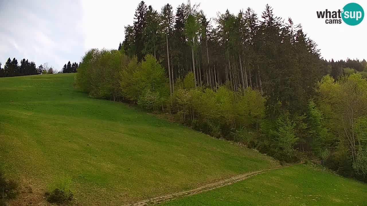 Stazione sciistica di Stari Vrh Webcam in diretta – Slovenia