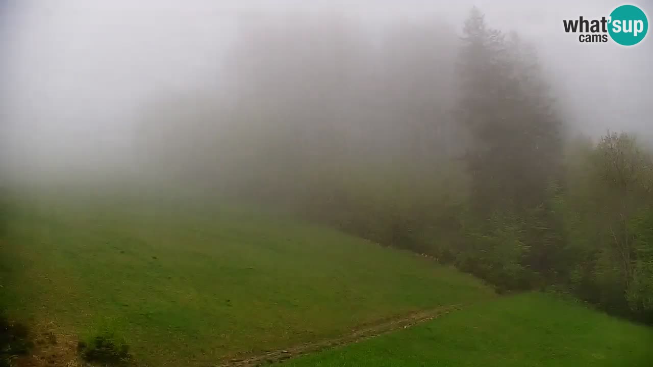 Skigebiet Stari Vrh Live Webcam – Slowenien