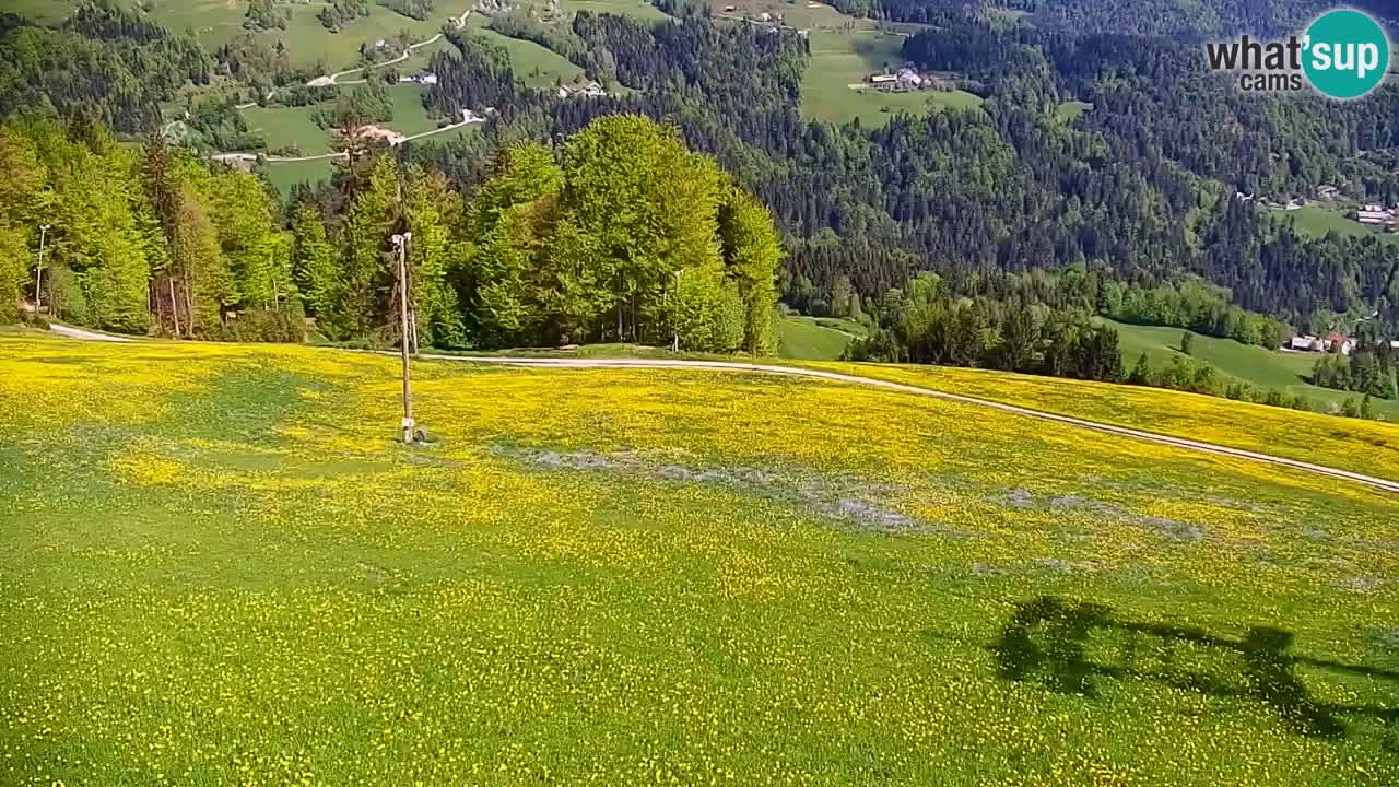 Skigebiet Stari Vrh Live Webcam – Slowenien