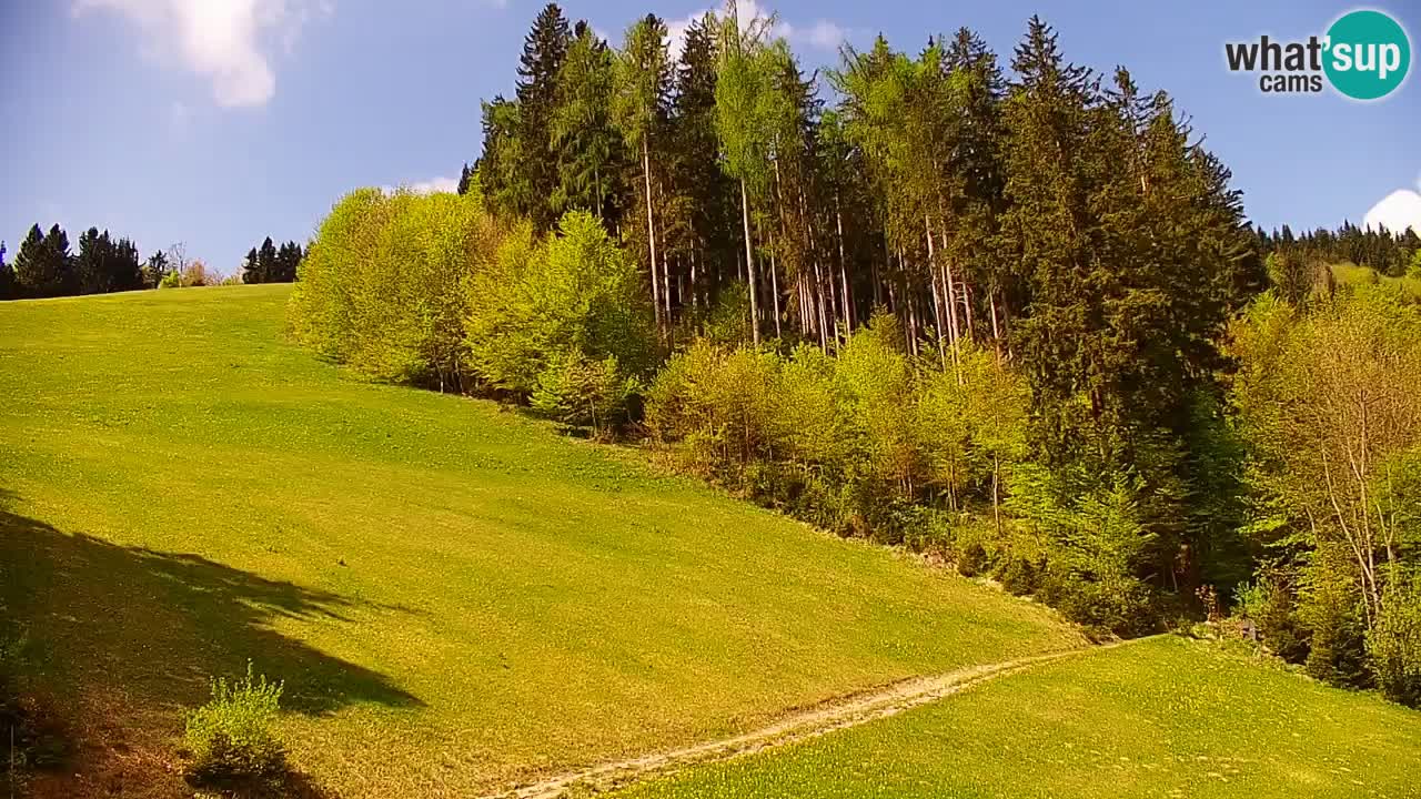 Skigebiet Stari Vrh Live Webcam – Slowenien