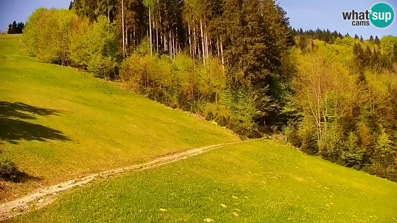 Webcam en direct de la station de ski de Stari Vrh – Slovénie